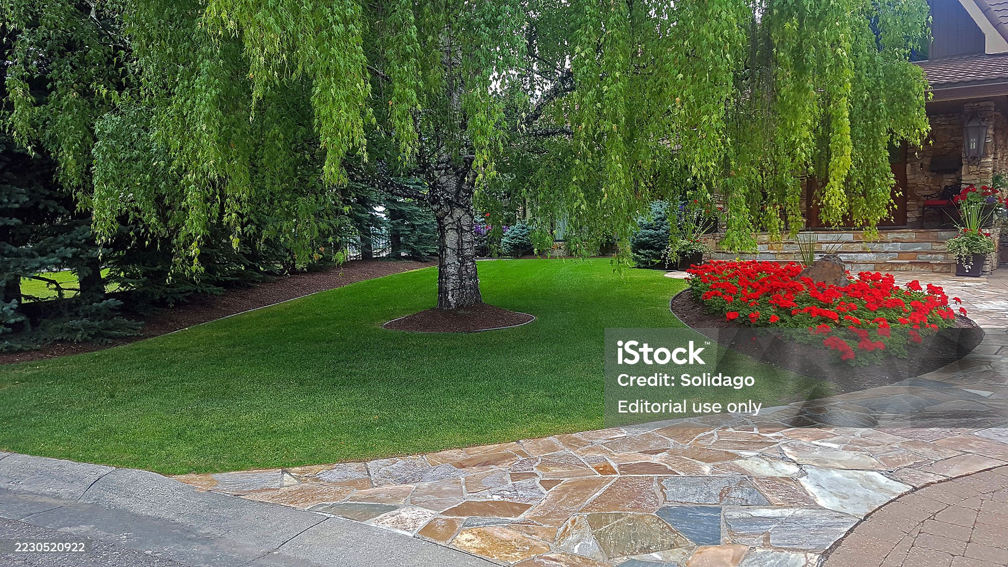 Professional landscaping services